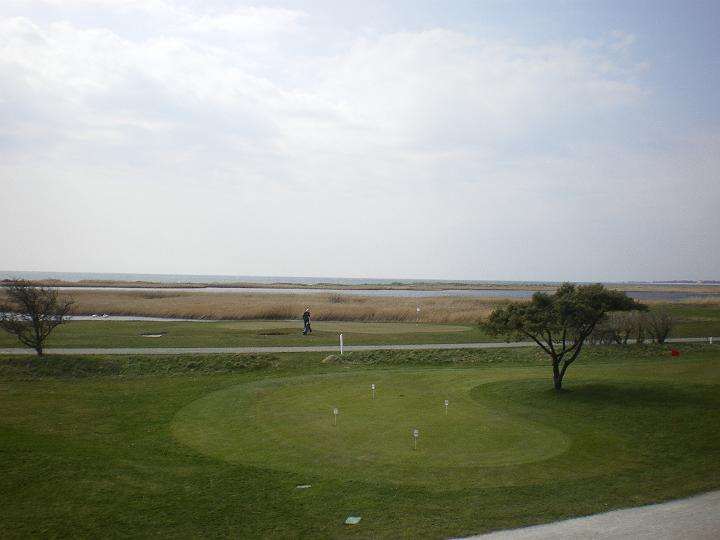 IMGP0526.JPG