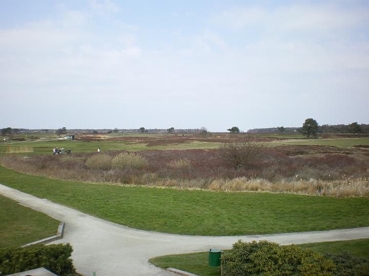 IMGP0530.JPG