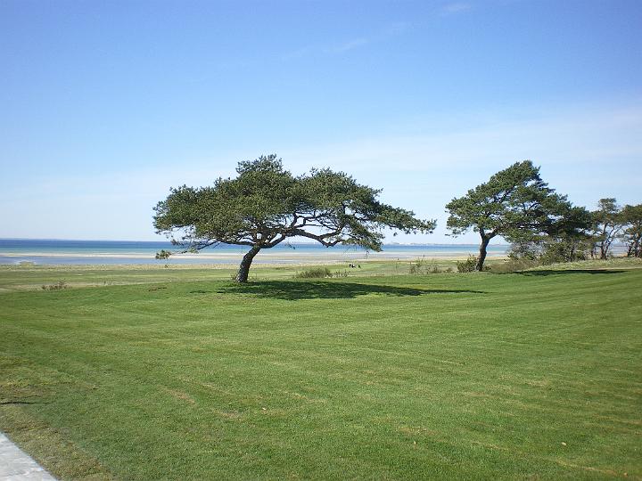 IMGP0544.JPG