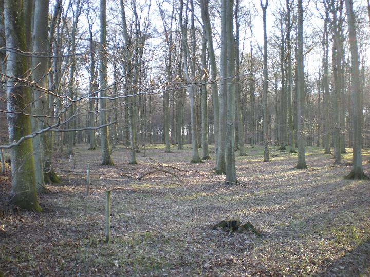 IMGP0591.JPG