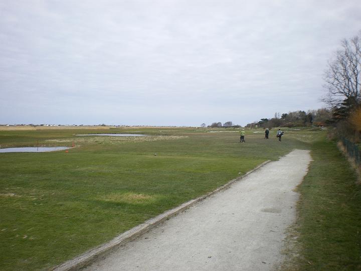IMGP0595.JPG