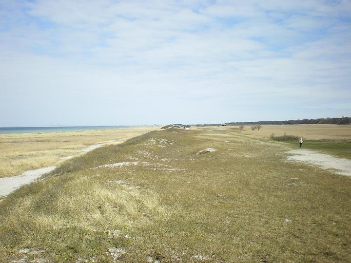 IMGP0604.JPG
