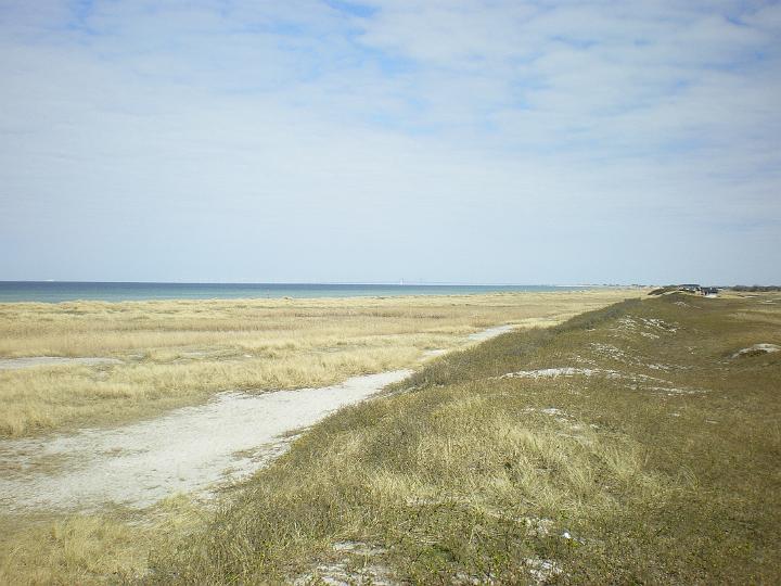 IMGP0605.JPG