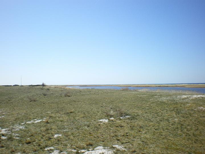 IMGP0607.JPG