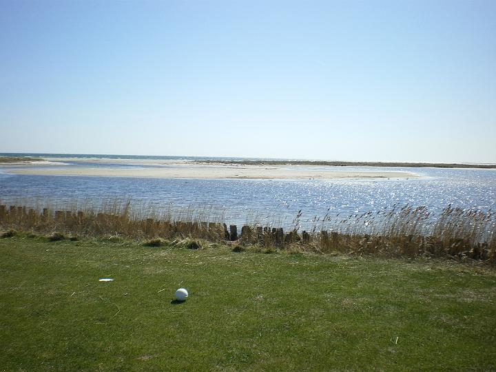 IMGP0610.JPG