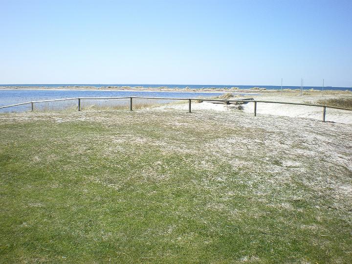 IMGP0611.JPG